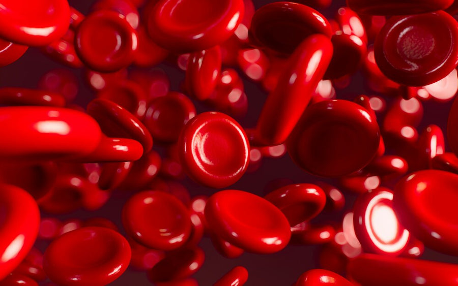 What Is Low Blood Sugar? A UK Guide to Hypoglycaemia